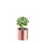 Ceramic Cylinder Vase 4"