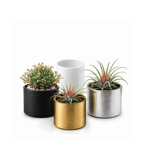 Ceramic Cylinder Vase 6"