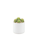 Ceramic Cylinder Vase 4"