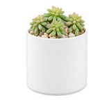 Ceramic Cylinder Vase 4"