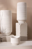 Andrade Collection