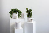 Kendall Pot XS — L+
