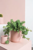 Kendall Pot XS — L+