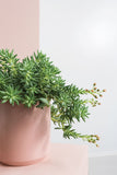Kendall Pot XS — L+