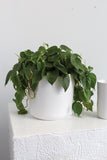 Kendall Pot XS — L+