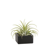 Short Square Ceramic Block Vase - 4"H
