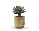 Antique Gold Ceramic Pot
