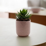 Special Pink Ceramic Pot