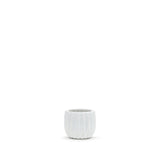 Unique Modern White Pot