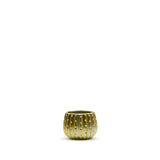 Matte Gold Ceramic Cactus Pot