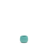 Teal Ceramic Cactus Pot