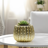 Matte Gold Ceramic Cactus Pot