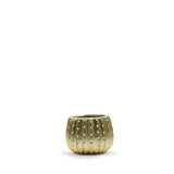 Matte Gold Ceramic Cactus Pot