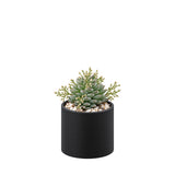 Ceramic Cylinder Vase 6"
