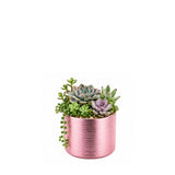 Ceramic Cylinder Vase 6"