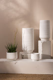 Andrade Collection