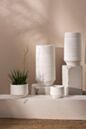 Andrade Collection