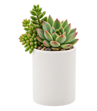 Cylinder Ceramic - 6"H
