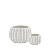 White Ceramic Cactus Pot