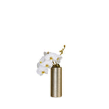 Zodiac Vase